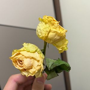 ‎‎‎‎‎‎‎‎‎‎‎‎