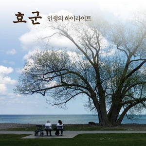 인생의 하이라이트