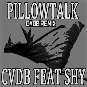 Pillowtalk