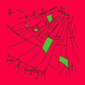 fear of fragility (Acoustic Version)