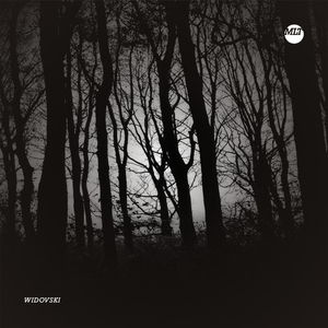 Levata (Cazer Remix)