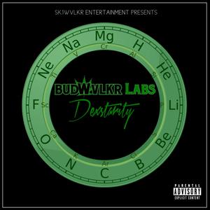 Budwvlkr Labs