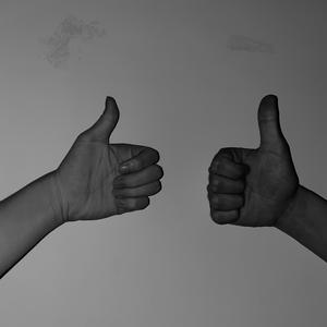 YOU SAY I ZAI MO FANG WHO