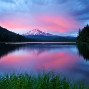 哄你睡觉用的歌