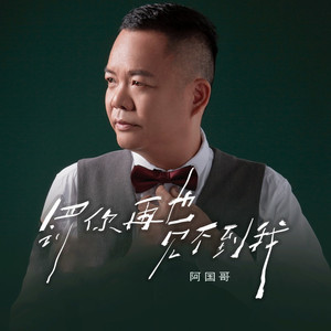 罚你再也见不到我 (粤语版)