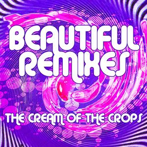 Funkmaster (Cheeky Phux Mix)