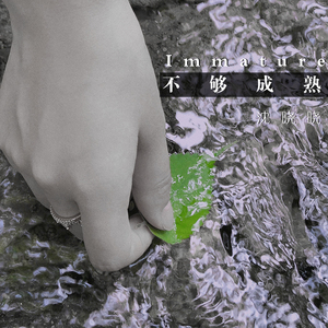 不够成熟（伴奏）