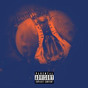 无头苍蝇（Prod by Evolu K）