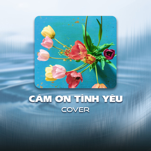 Cám Ơn Tình Yêu (Cover)