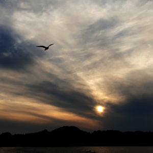 기억이라는 것은