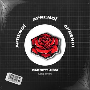 Aprendí