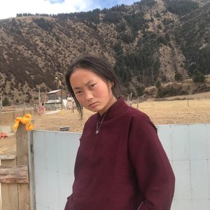 天上的仙女 (Live)