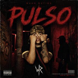 Pulso
