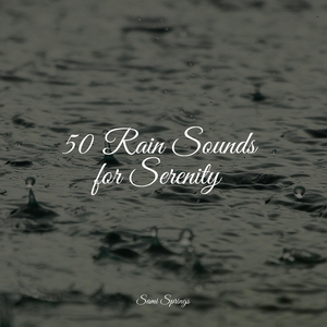 Bird Calls, Field, Mid Day