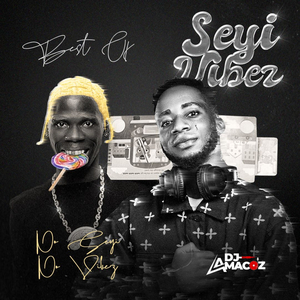 BEST OF SEYI VIBEZ 2025 MIX