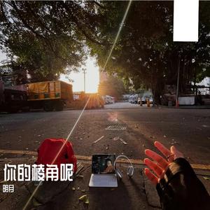 你的棱角呢（抖音热播版）