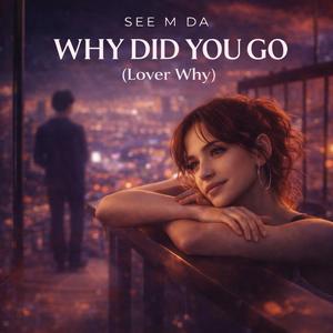 Why did you go (Lover Why)
