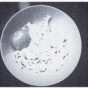 Before she arrived she had obtained(Intro)