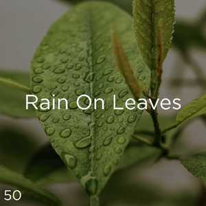 불안 완화