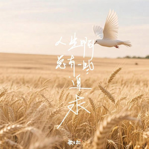 人生啊总有一些追求 伴奏