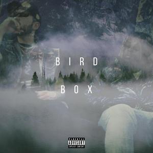 Birdbox (feat. CarterClouud)