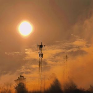 山风记得柚花香