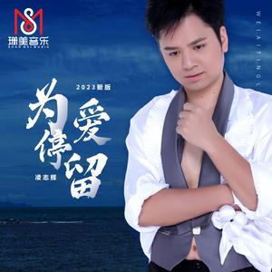 为爱停留（2023新版伴奏）