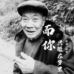 而你 只能在梦里（伴奏）