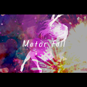 Metro fell
