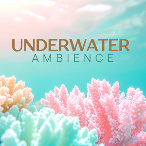 Calm Underwater Soundscape
