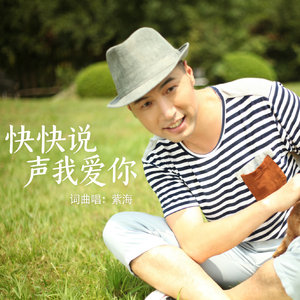 紫海-快快说声我爱你（完整版）