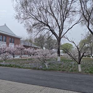 第57次取消发送