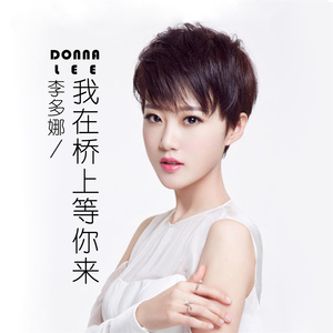 我在桥上等你来 (伴奏)