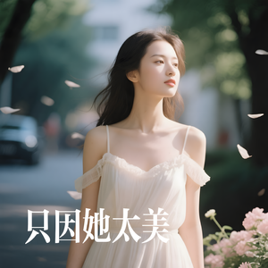 只因她太美