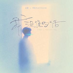 我没说的话