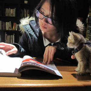 假如人生不曾相遇