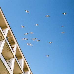 Любишь бегать