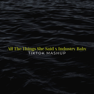 All The Things She Said x Industry Baby (TikTok Mashup) (Remix)