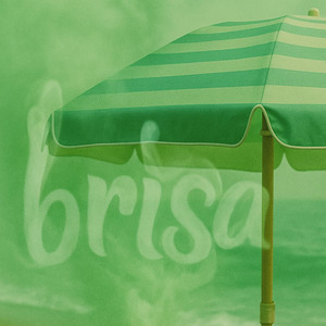 Brisa