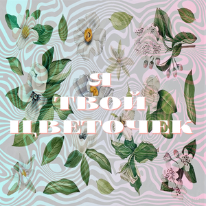 Я твой цветочек (feat. София Стеценко)