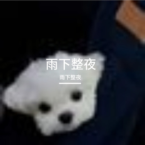 轻快节奏点亮的日常阳光