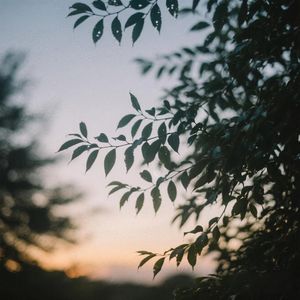 细雨飘零浸心湛