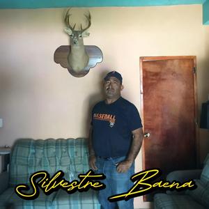 Silvestre Baena