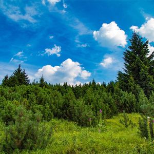 十七岁的日记 (Remix) (Edit)