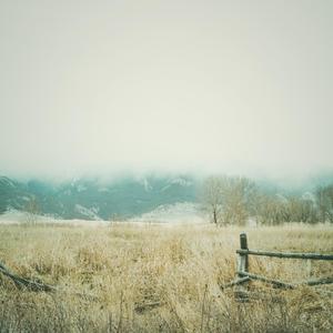 I'm Doing Everything I Can