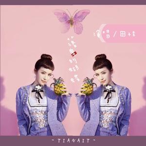 落单的蝴蝶 (DJ版)