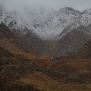 Endless Explorations