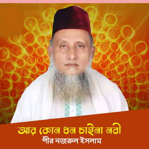 আর কোন ধন চাইনা নবী