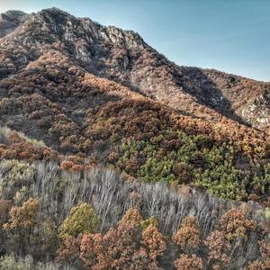 Fear and Trembling (Demo)