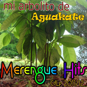 Sera de quien - Merengue